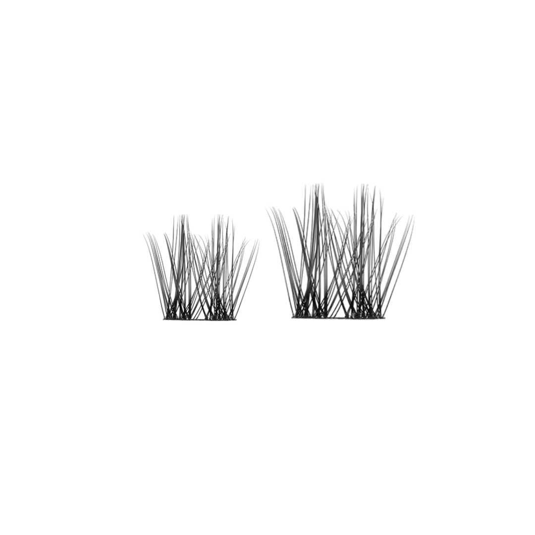 THE DAILY'S - DUAL LENGTHS