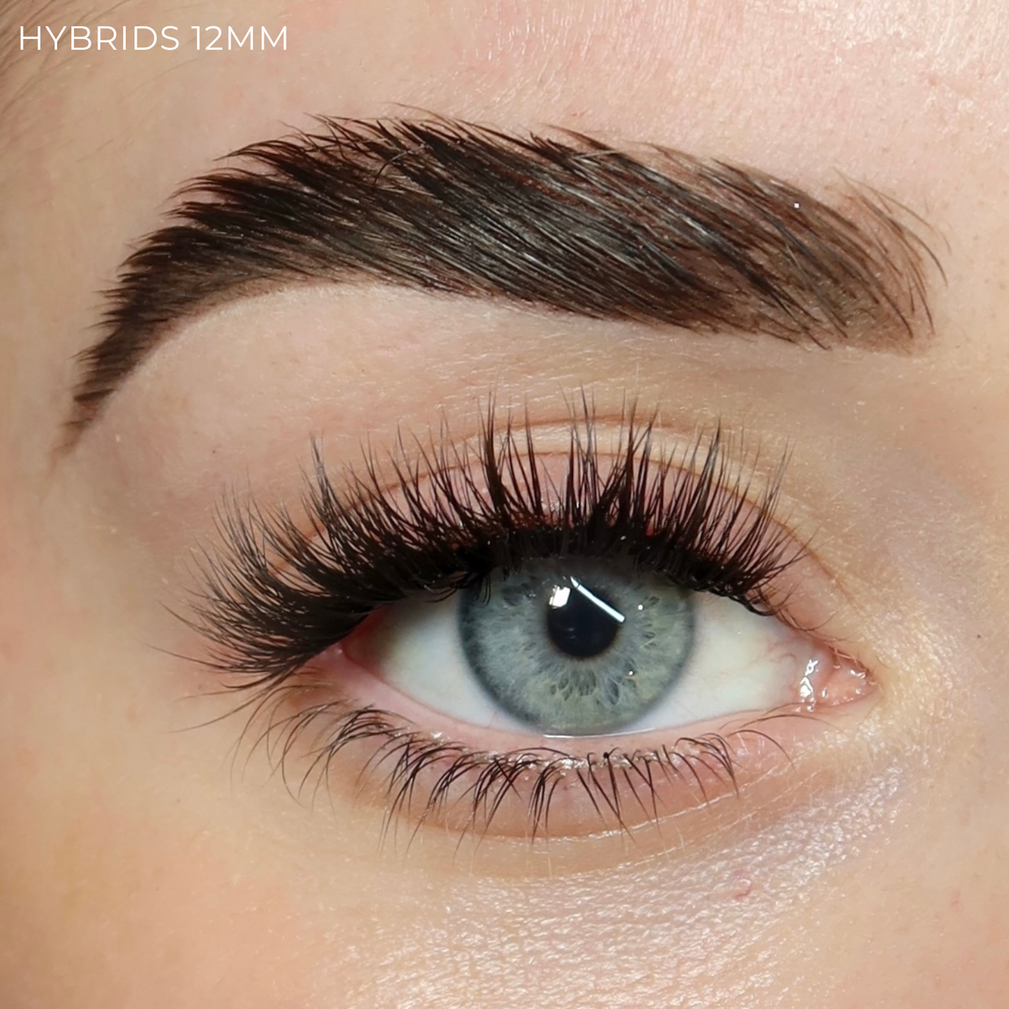 HYBRIDS - MULTI LENGTHS