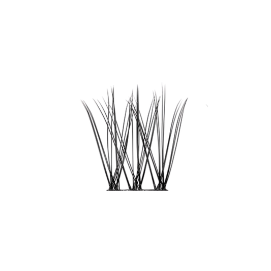 THE MINIMALIST